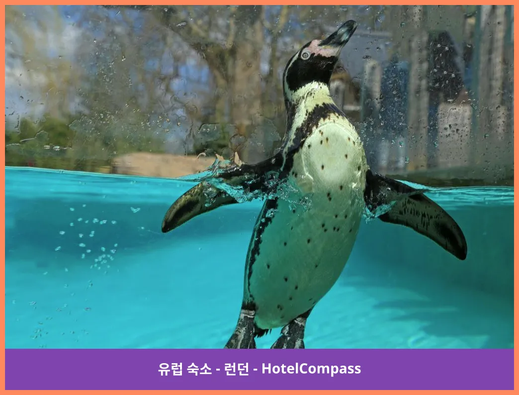 ZSL London Zoo - 2.5 km from property